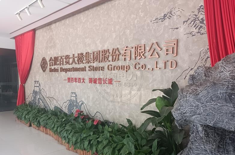 合肥百大集团远程电表方案